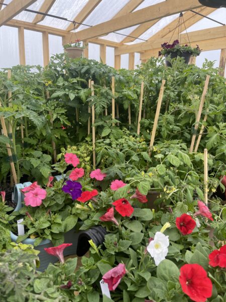 Windy Hill Greenhouse