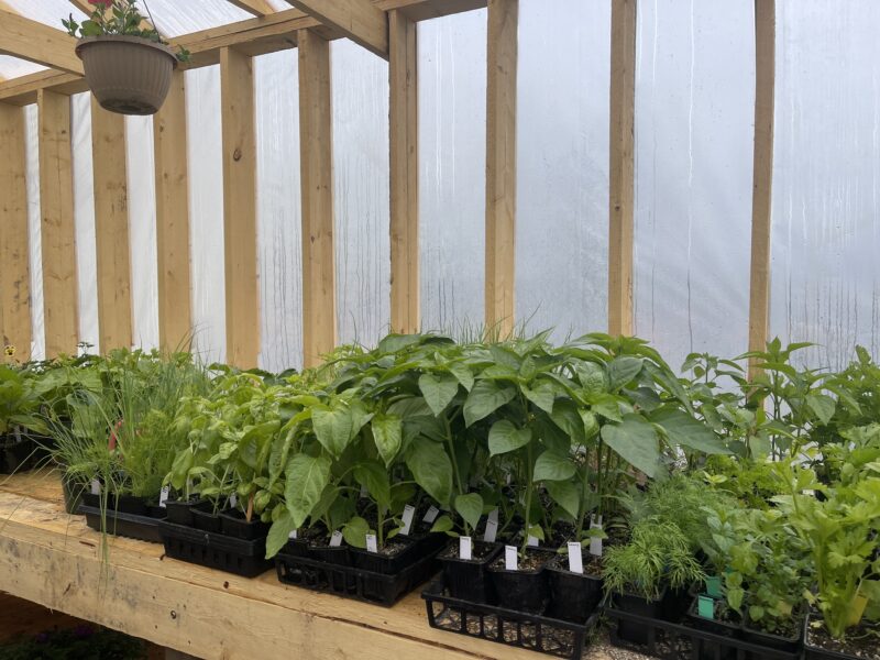 Windy Hill Greenhouse