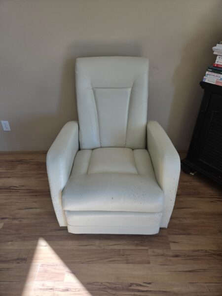 Swivel/Rocker/Recliner Chair
