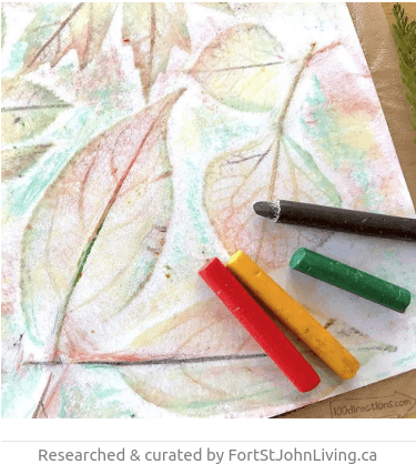 Crafternoon: Leaf Rubbings - FSJ Public Library